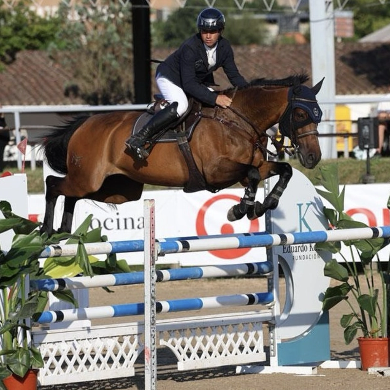 centro ecuestre bretema galicia competicion 04