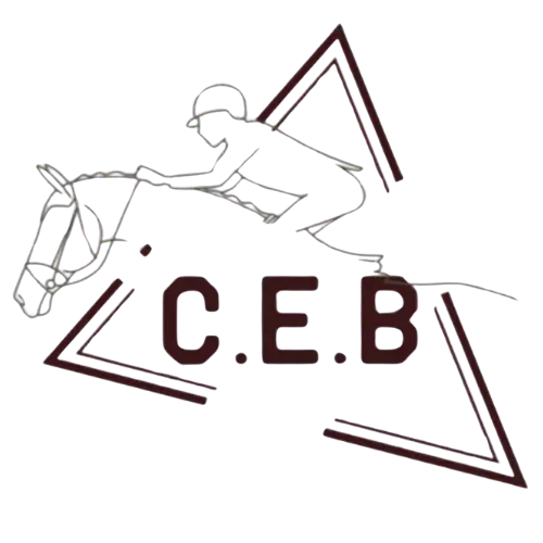 logo-centro-ecuestre-bretema