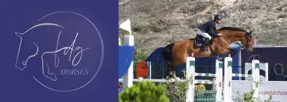 FDG Horses - Servicios Profesionales Ecuestres